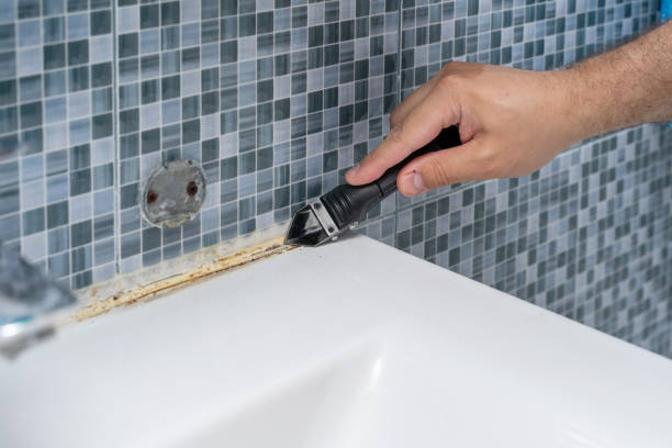 Best Mold Remediation Experts  in Orcutt, CA